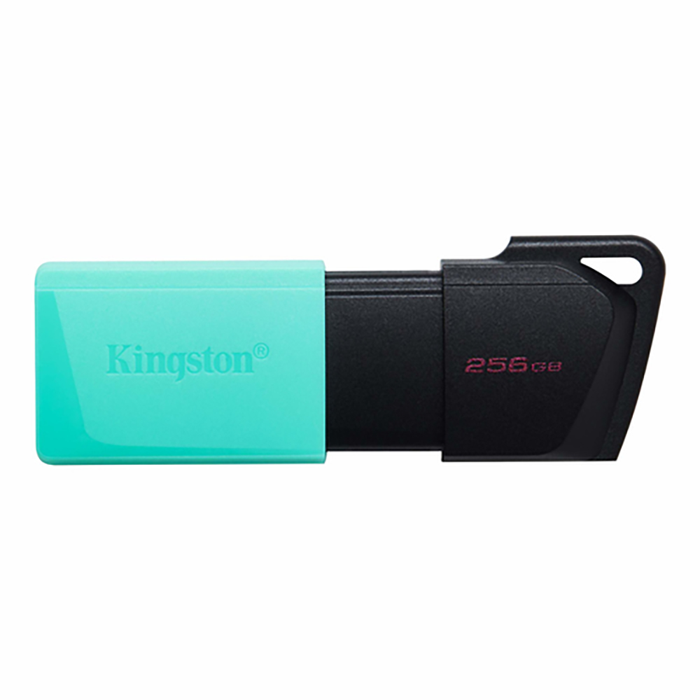 Memoria Kingston 256GB USB 3.2 negro/verde azulado Gen 1 DataTravel Exodia M DTXM/256GB